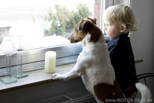 2z9p4625-fensterln-1024x682