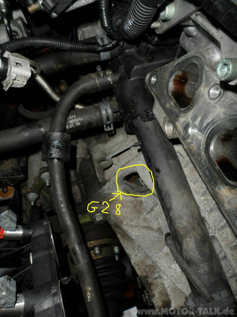 G28 Drehzahlgeber beim 1,6 16v ATN Motor