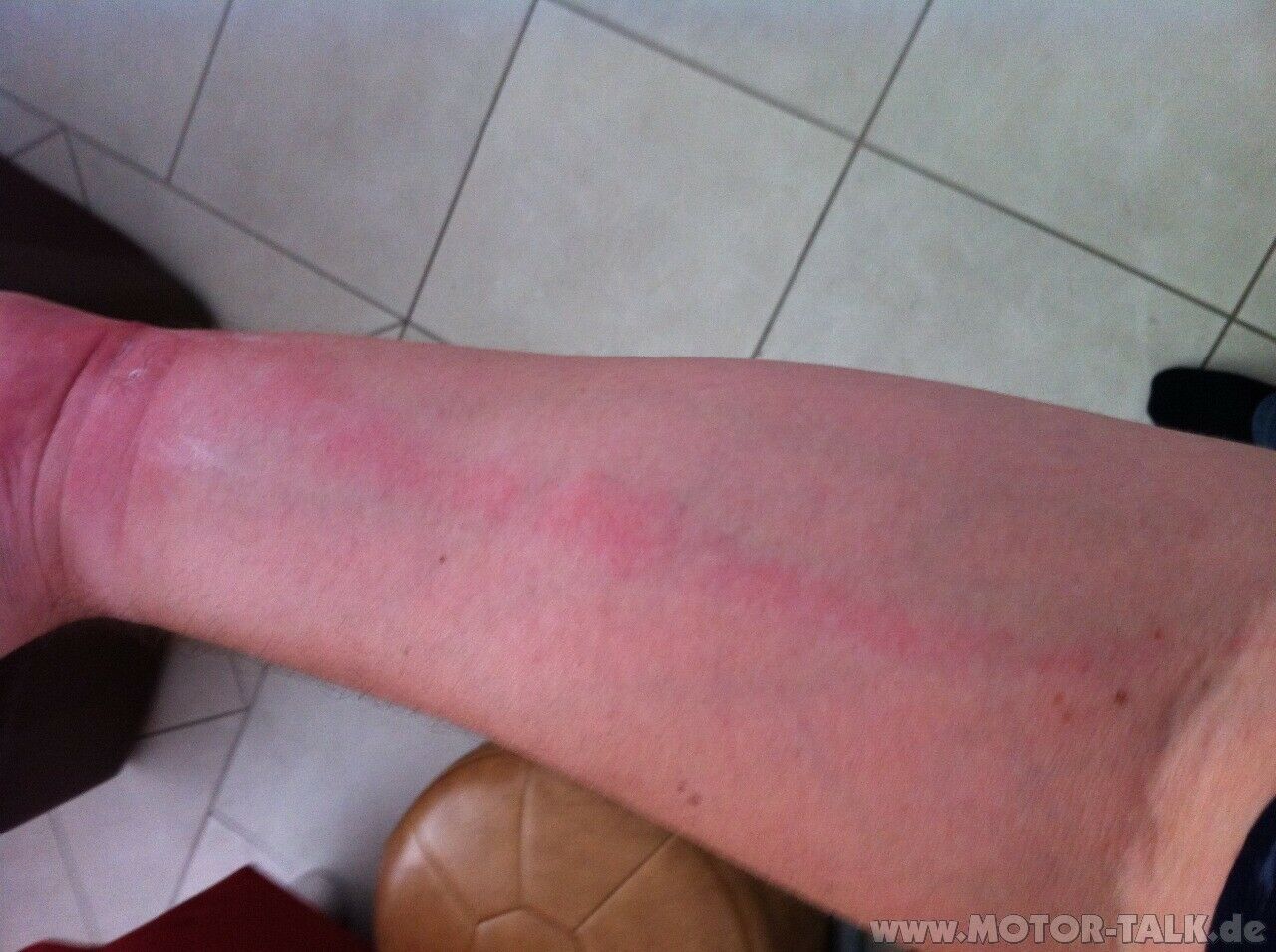 6. MTBTFT Vogtland - Vorgeplänkel