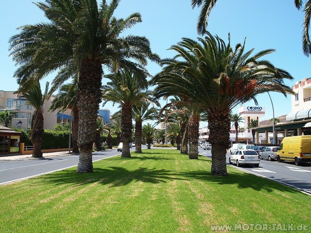 Vectra B- der (in)offizielle OT - Blogartikel