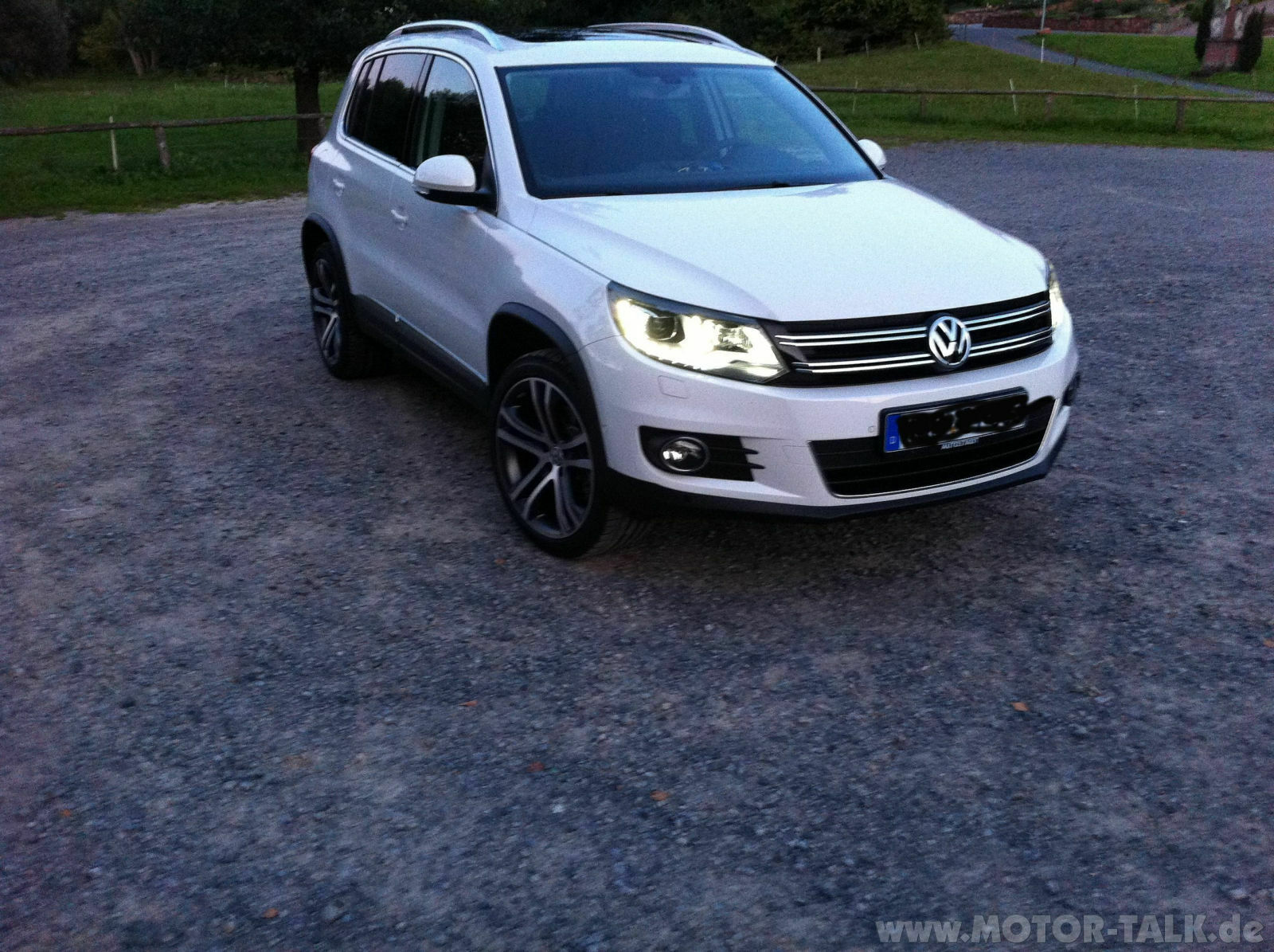 Mein "Tiger" ist da...