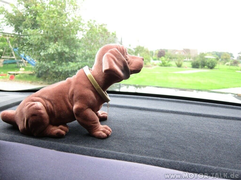 Zeigt her Eure "Dicken"