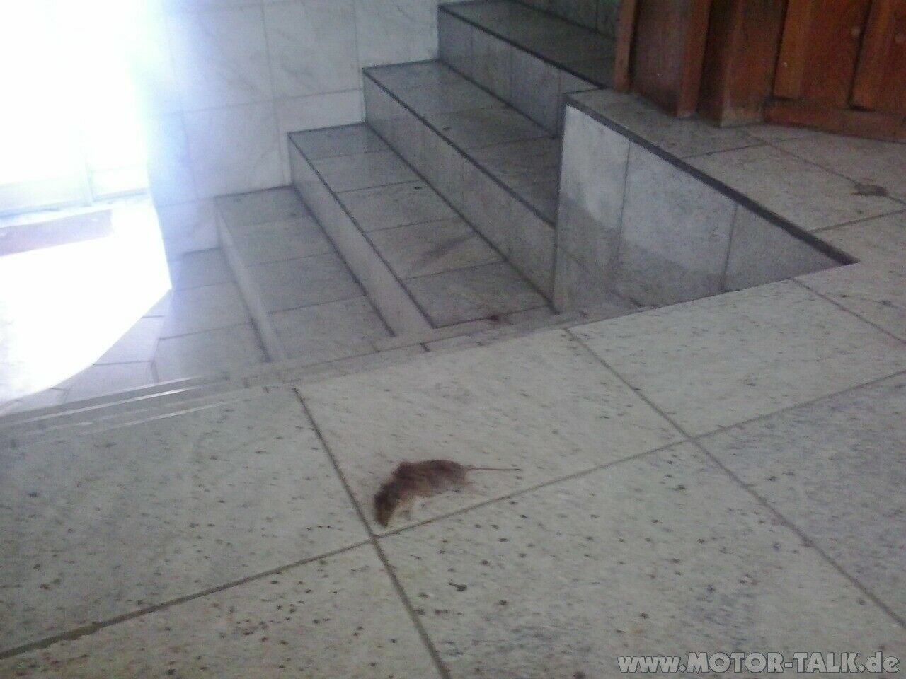 Eure als Design- und Funktionsfehler bewerteten Mängel beim 4G?