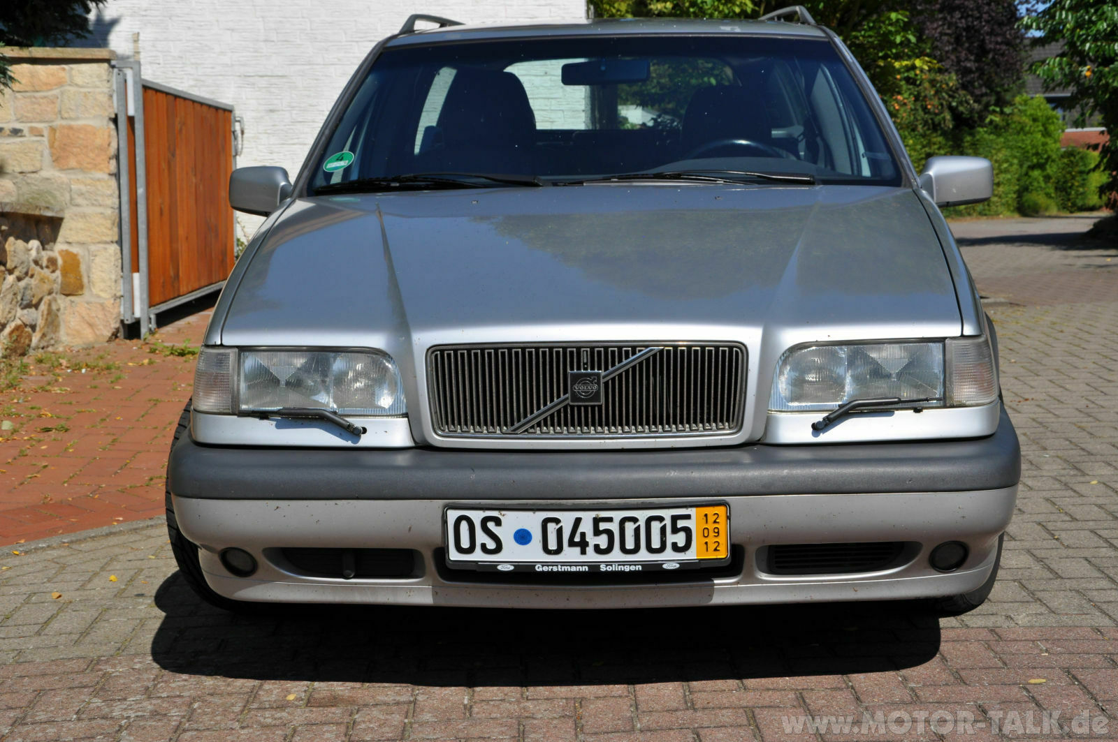 Wir begrüssen einen neuen Elch in der Runde!