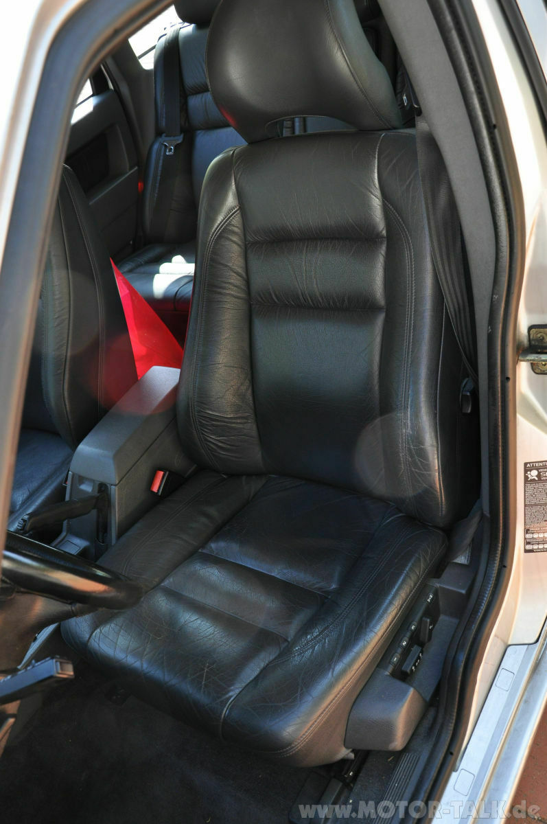 Wir begrüssen einen neuen Elch in der Runde!