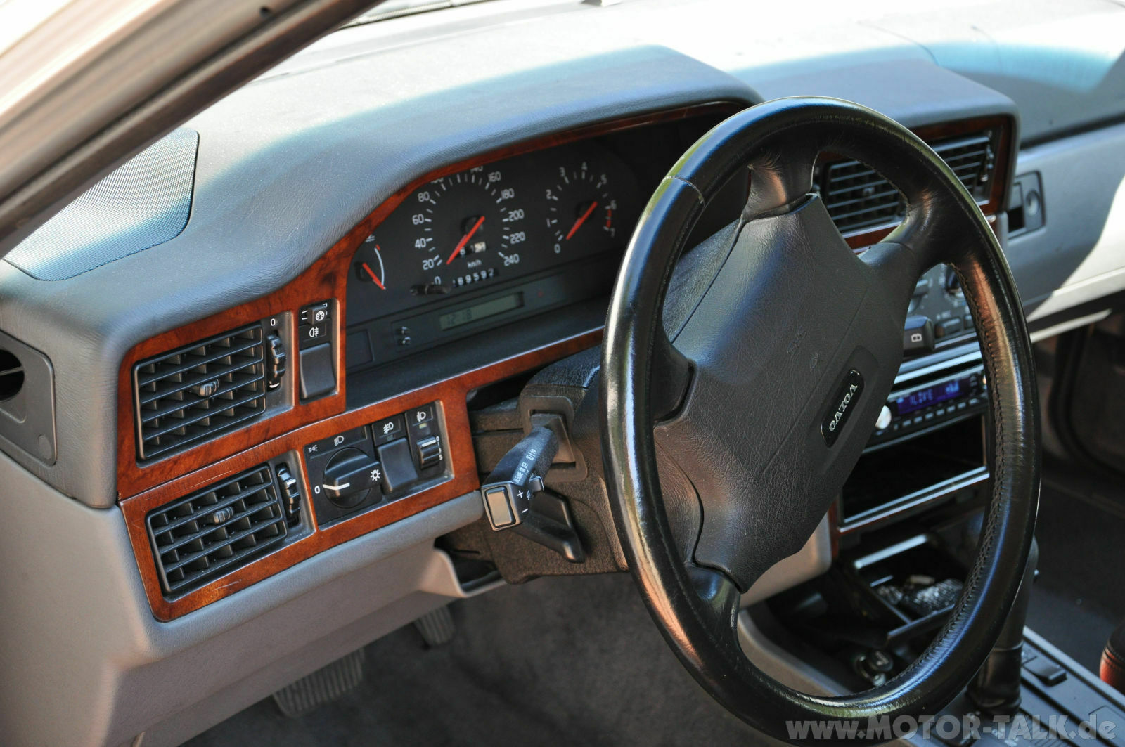 Wir begrüssen einen neuen Elch in der Runde!