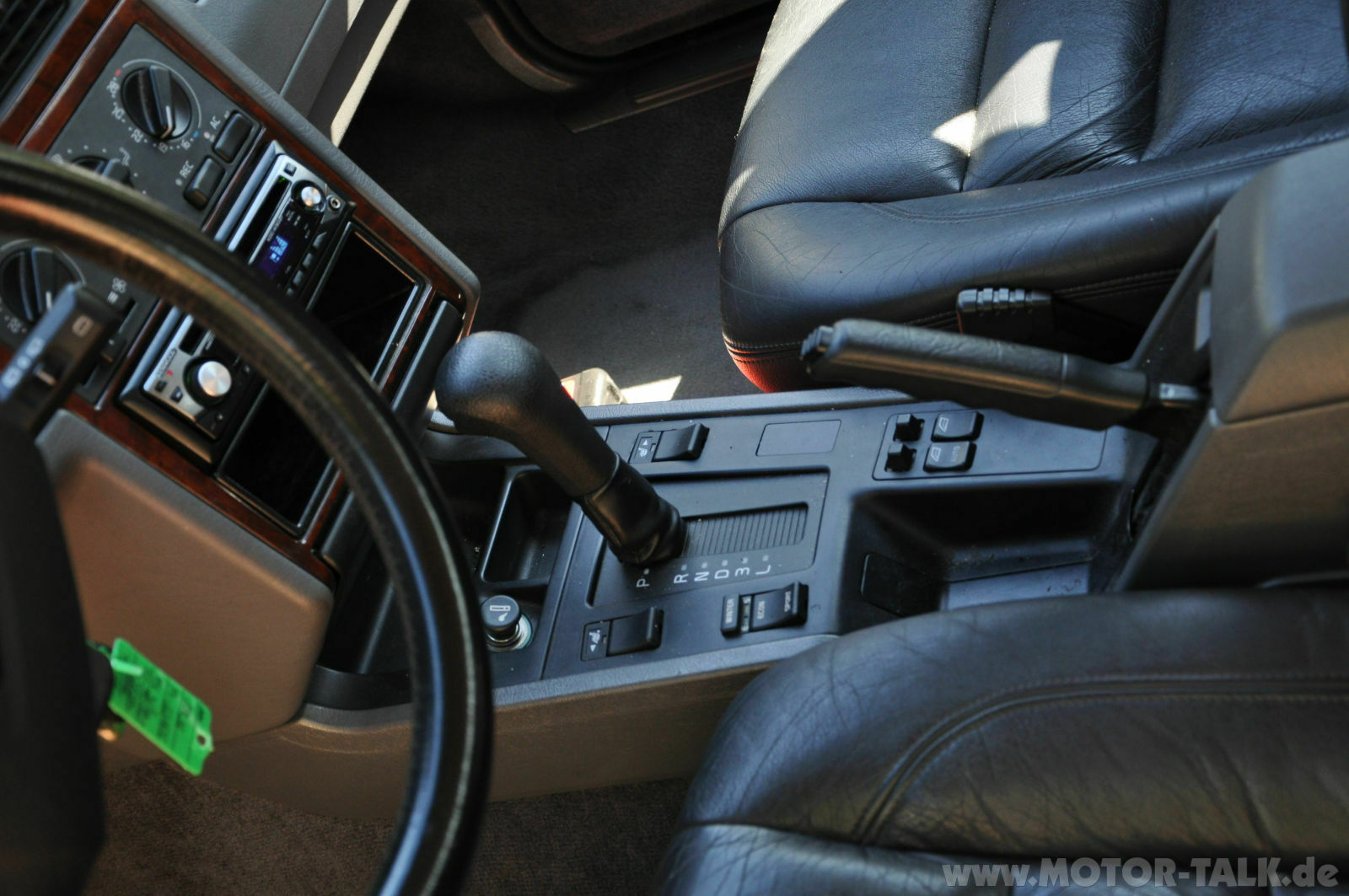 Wir begrüssen einen neuen Elch in der Runde!