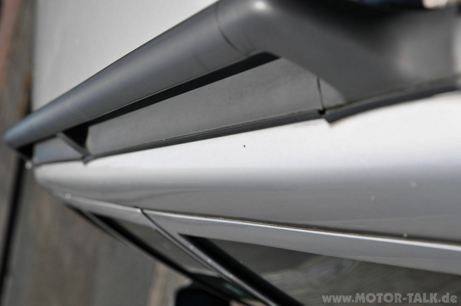 Wir begrüssen einen neuen Elch in der Runde!