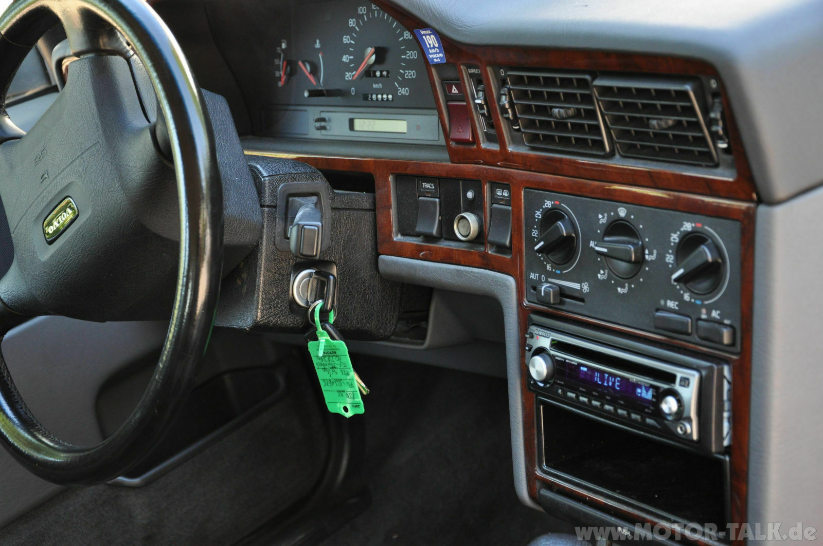 Wir begrüssen einen neuen Elch in der Runde!