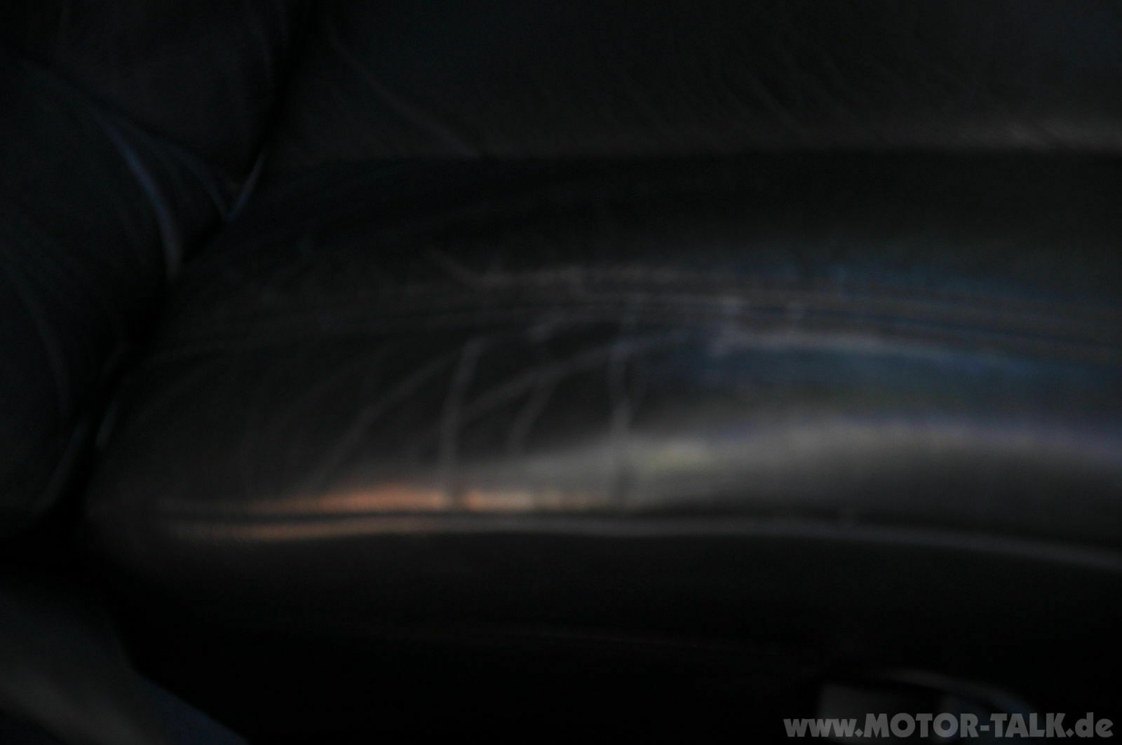 Wir begrüssen einen neuen Elch in der Runde!