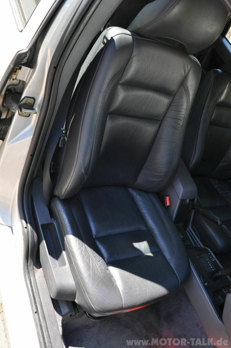 Wir begrüssen einen neuen Elch in der Runde!