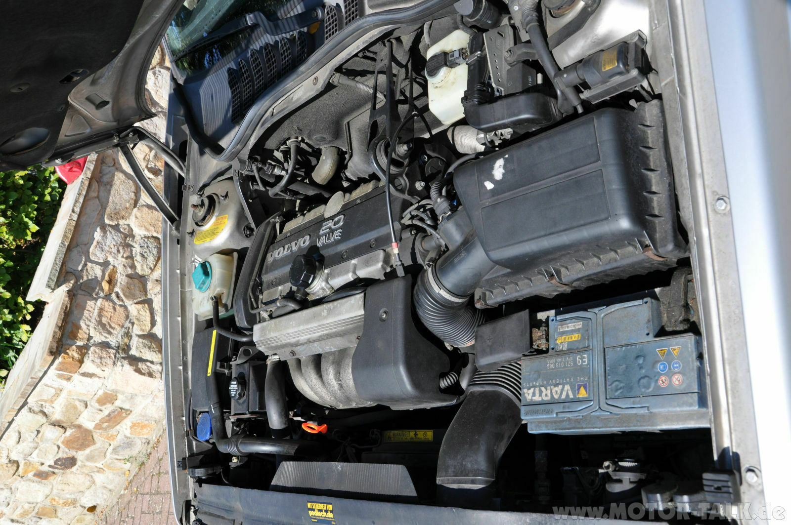 Wir begrüssen einen neuen Elch in der Runde!