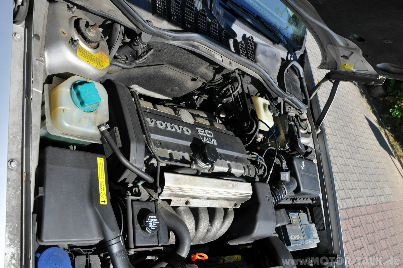 Wir begrüssen einen neuen Elch in der Runde!