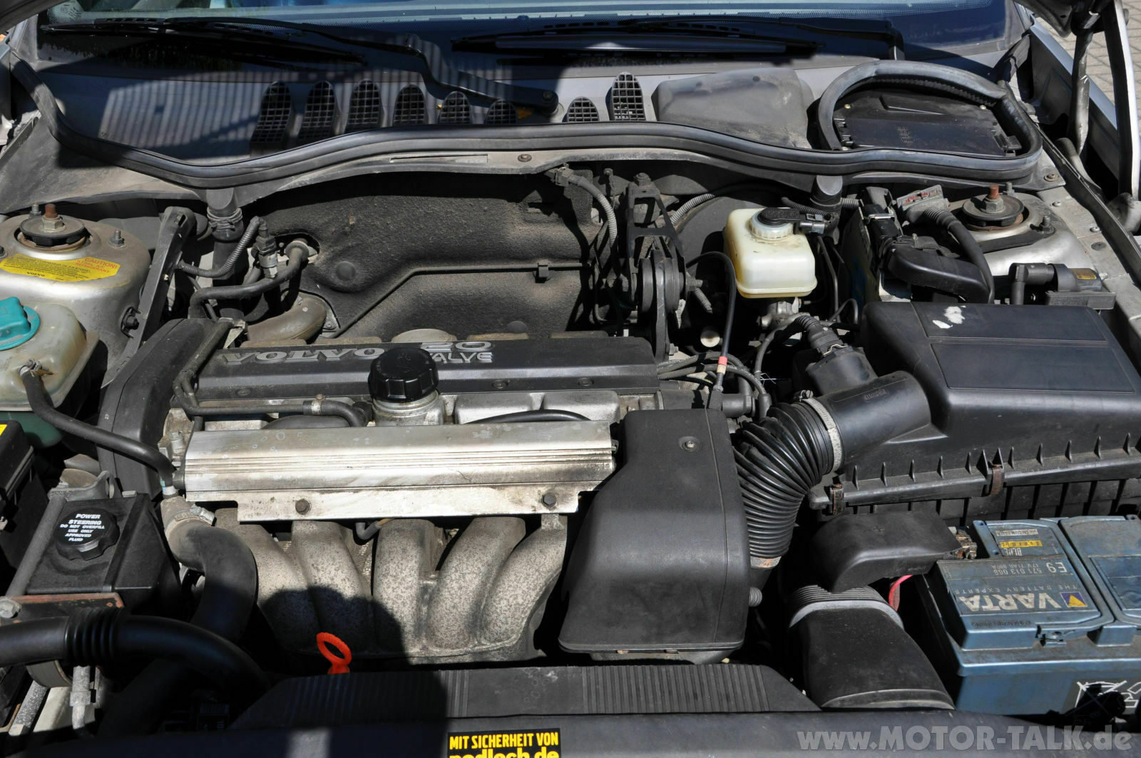 Wir begrüssen einen neuen Elch in der Runde!