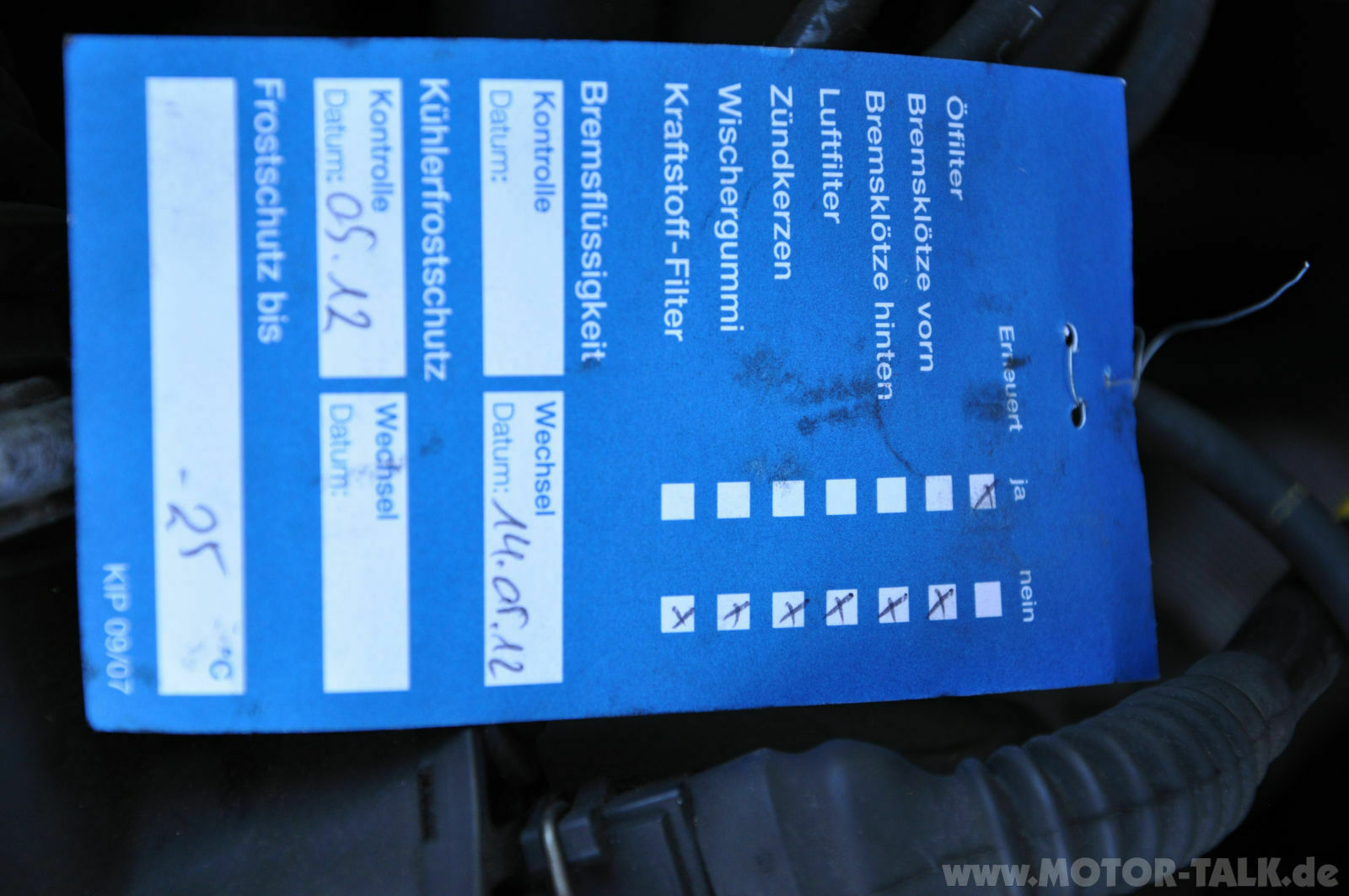 Wir begrüssen einen neuen Elch in der Runde!