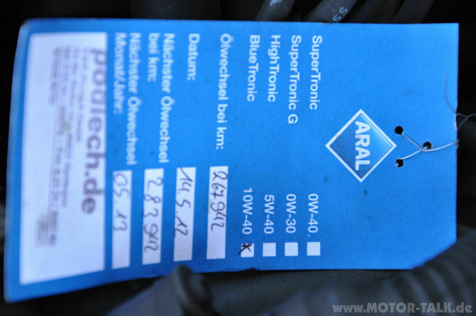 Wir begrüssen einen neuen Elch in der Runde!