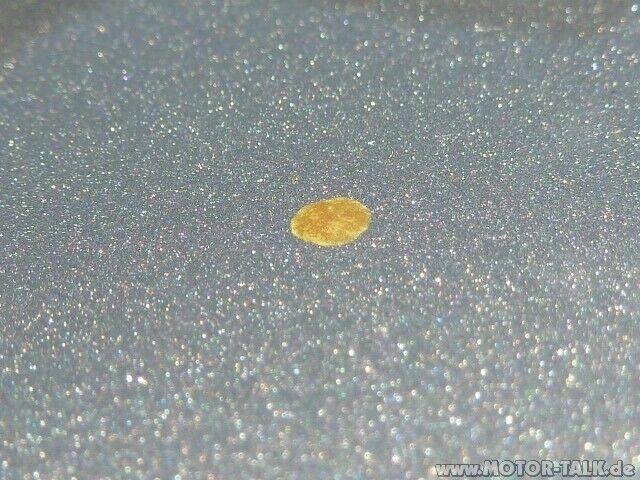 Insektenkot oder Baumharz? Wer kann weiterhelfen?