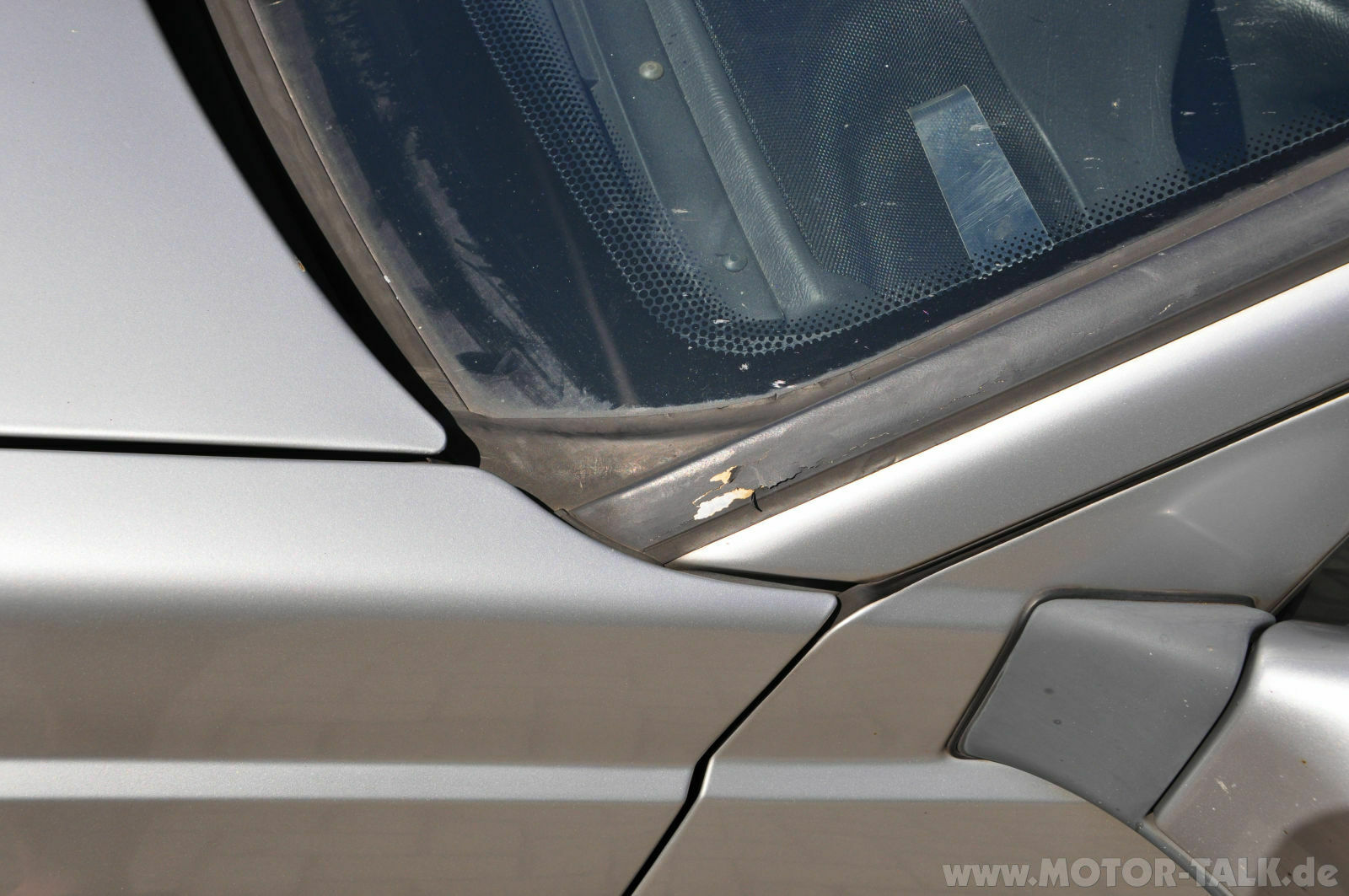 Wir begrüssen einen neuen Elch in der Runde!