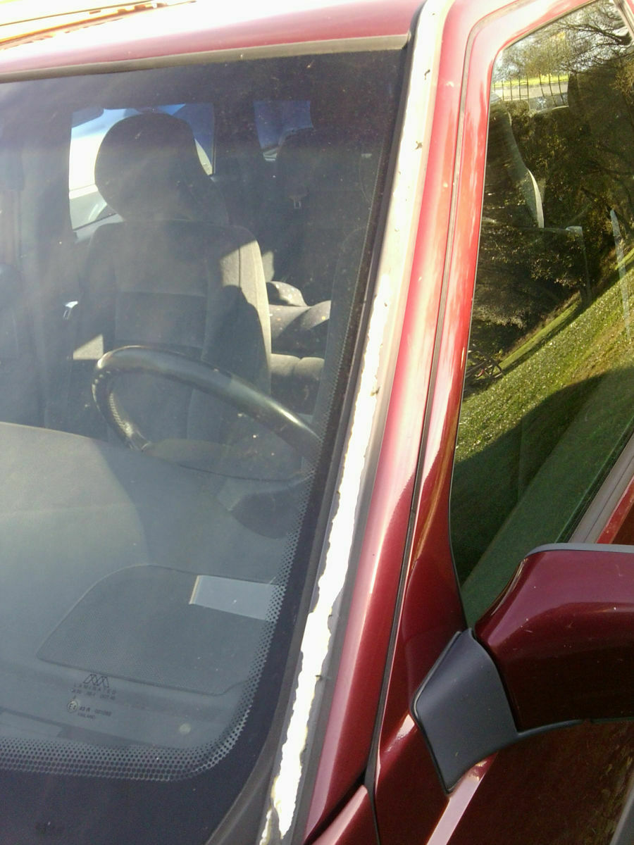 Wir begrüssen einen neuen Elch in der Runde!