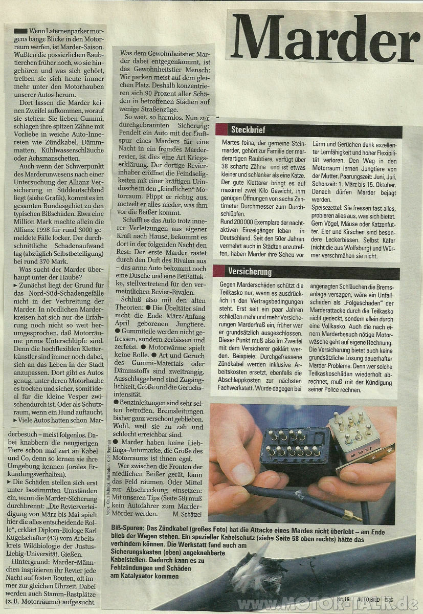 Marderschaden, Abwehrmaßnahmen