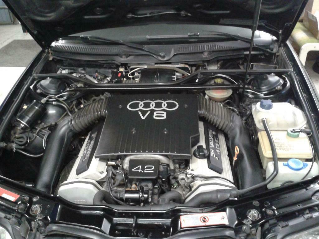 Zeigt her Eure "Dicken"