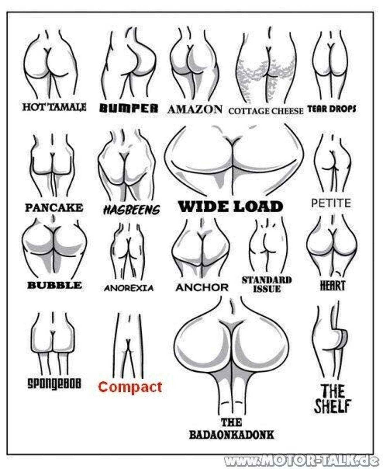 tumblr-l92jmpjxea1qctw0go1-500