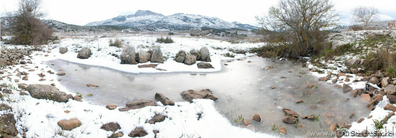 336512-360633827289156-100000276246173-1391359-1490481638-o