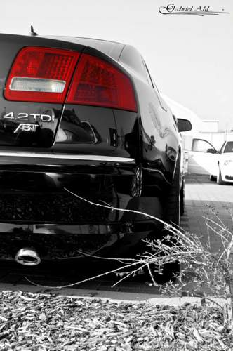 Audi A8 Treffen