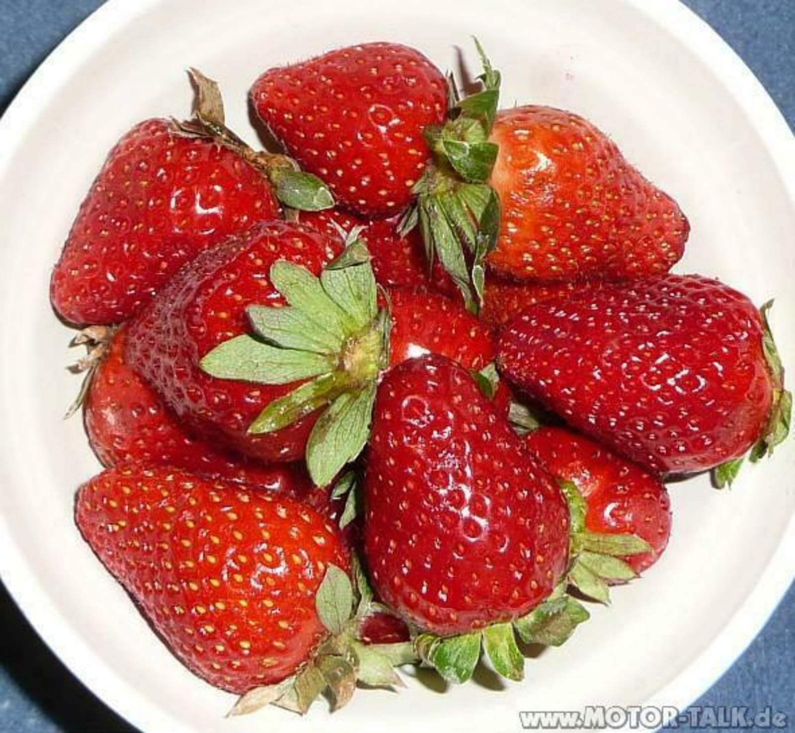 erdbeeren-bettinafitzner-01