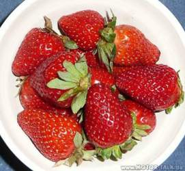 Erdbeeren-bettinafitzner-01