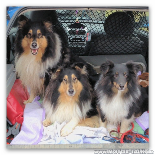 Snap-2012-03-02-23h43m36s-003