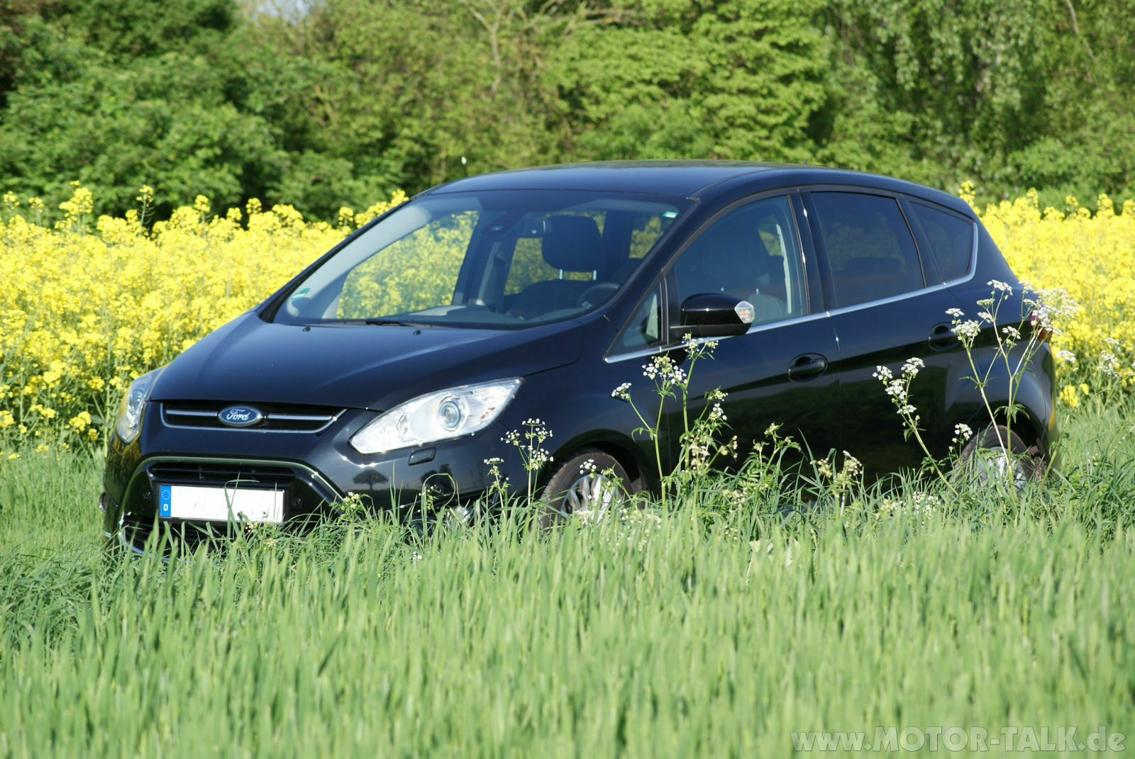 Reality Check Club - Die Off Topic Tropic Bar