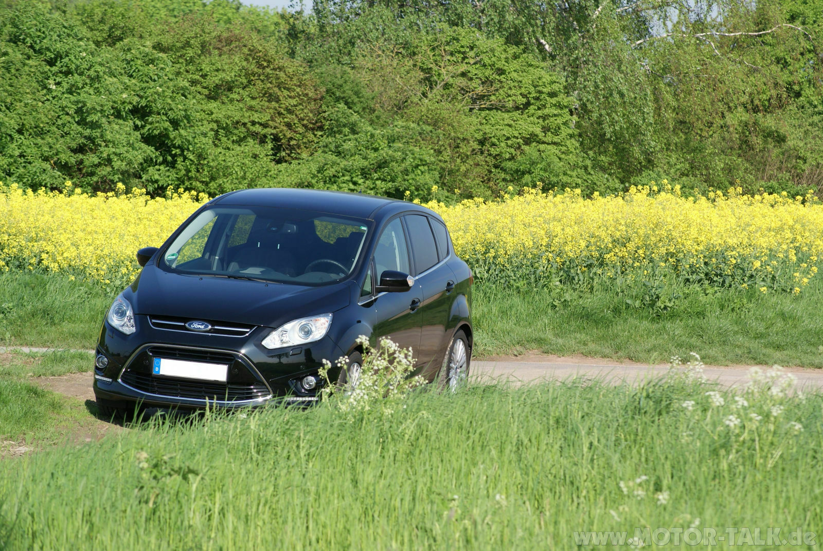 Reality Check Club - Die Off Topic Tropic Bar
