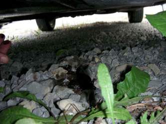 Rottenburg-dscn3261-1600