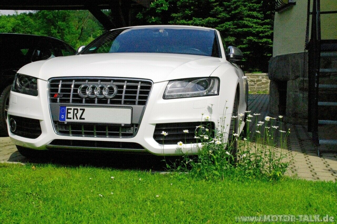 Audi S5 Reimport
