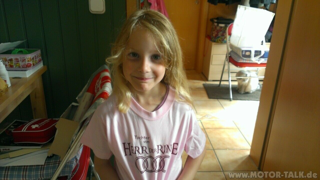 Audi A6 C4 Treffen 2013 - jedes Jahr wird schöner!