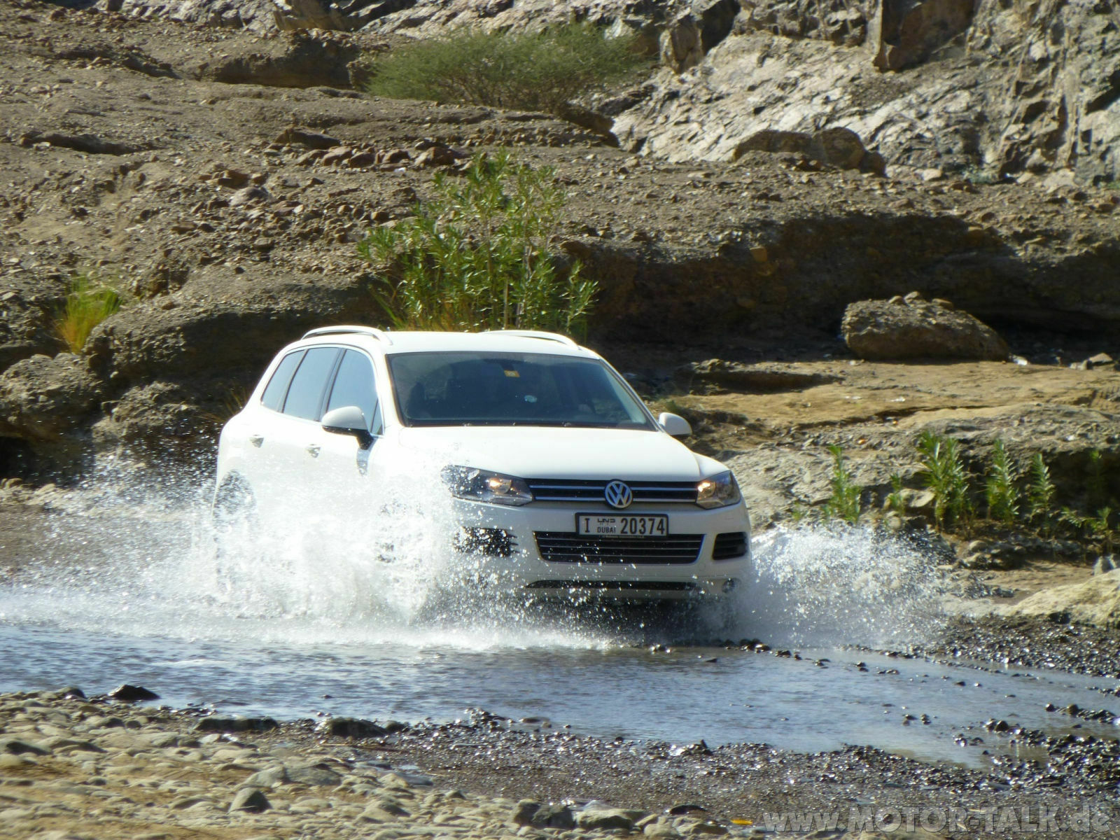 Vorstellung und Bilder Sammelthread