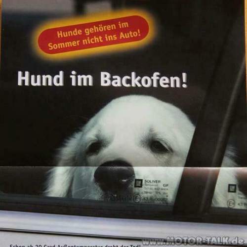 554598-2807170398641-1640070676-n