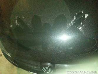 Hauben Kunstwerk Light