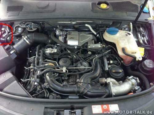 Img-8099-6338148169863832027