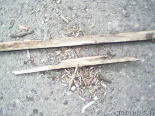 Faules-holz-aus-unterboden-wowa