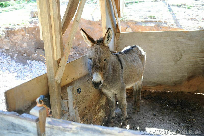 M-(Klasse!) das ideale Hängerfahrzeug.