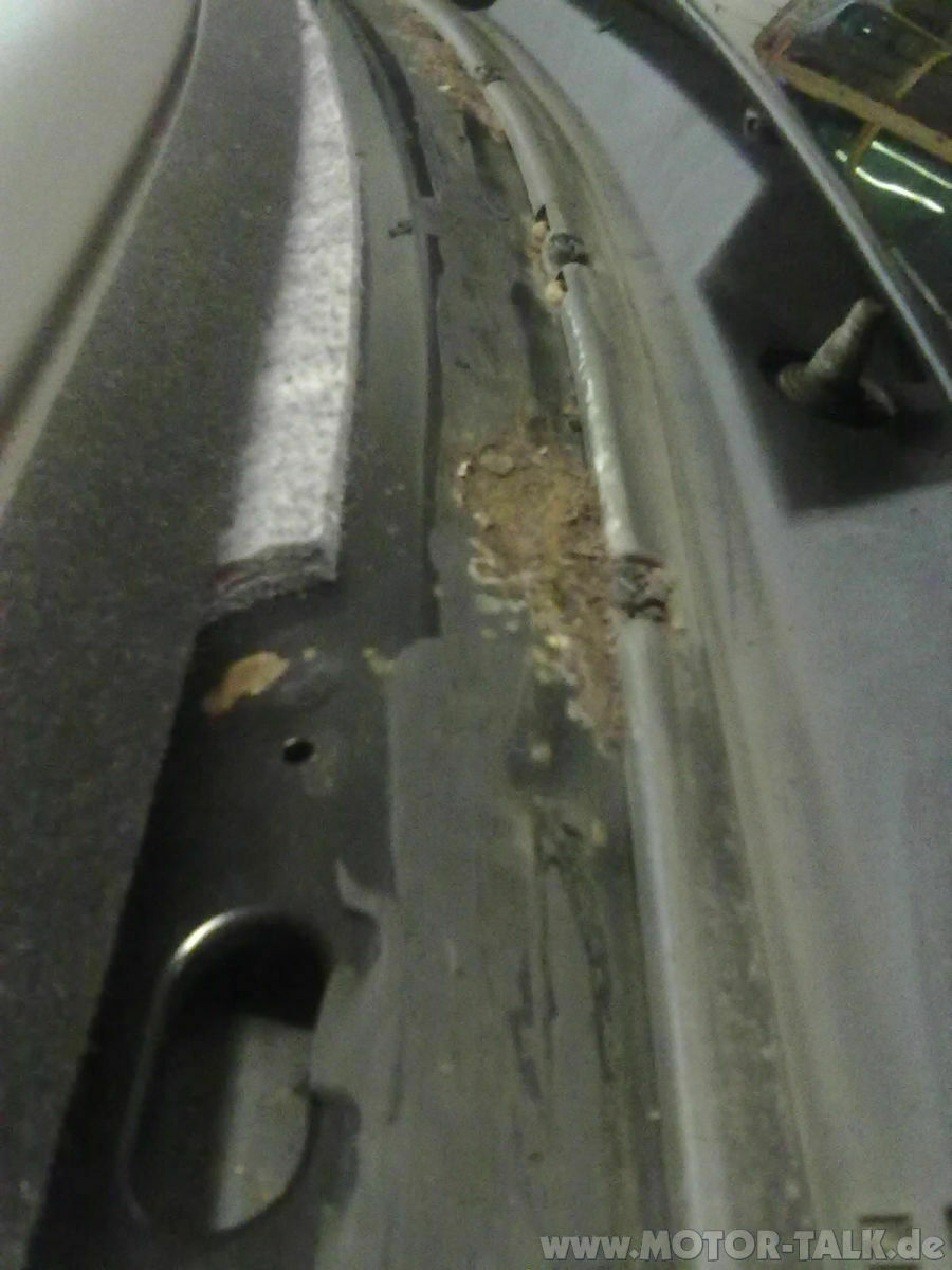 Omega b facelift Verzinkt?