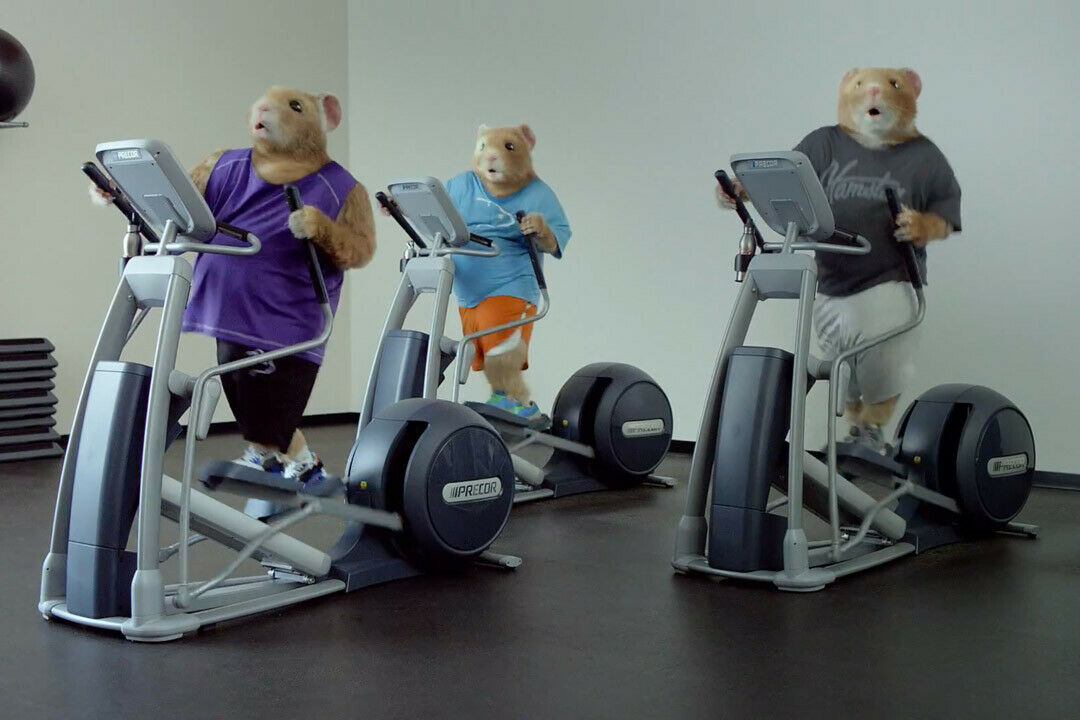 Die Hamster mühen sich auf dem Stepper ab wie Kia beim Design. Allerdings ist das Resultat der Nager beeindruckender