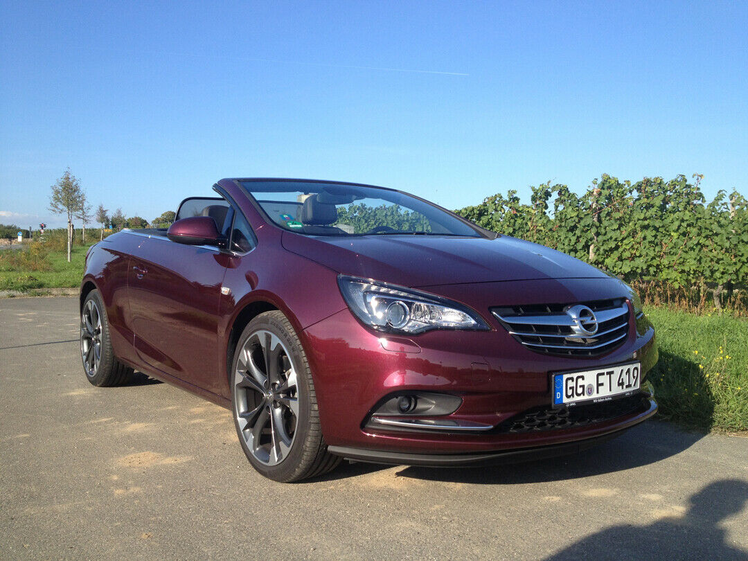 Opel Cascada vor Weinstöcken