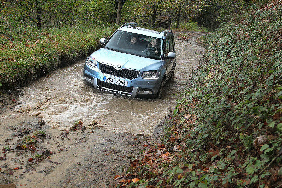 Von Stock, Stein, Stämmen und zwei Masken