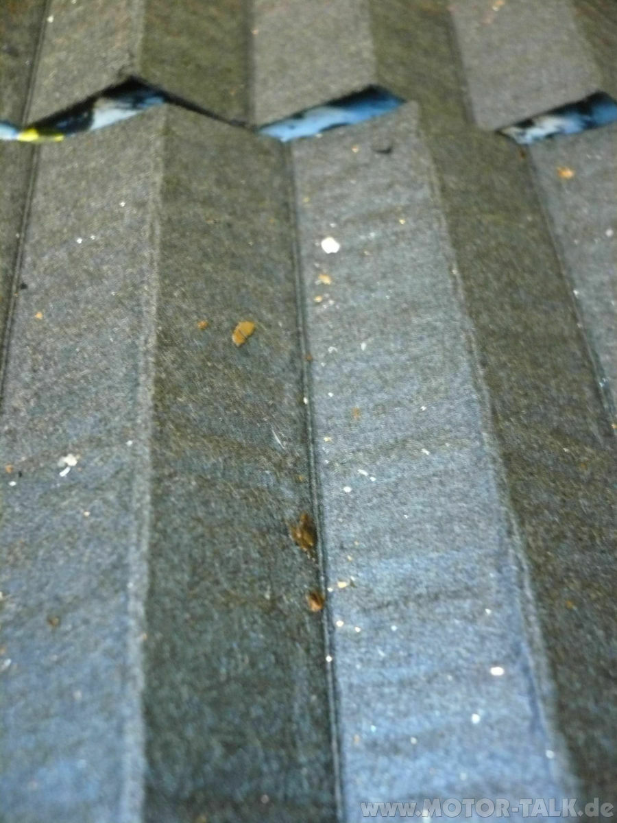 OM 646.961 - Pleuellagerschaden? - Was auf die Ohren