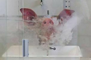 Suche-nach-ersatz-304x202-b71009cf3f965f14