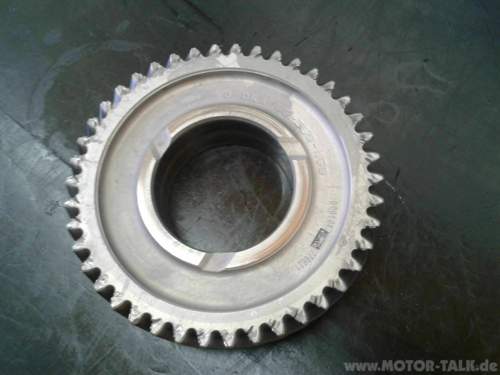 1009571-497144143693678-387207132-o