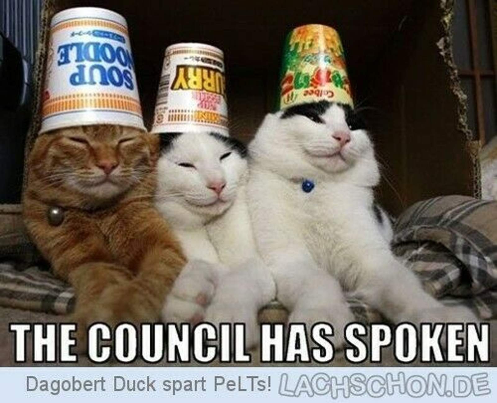 155610-derrdwhatgesprochen-1